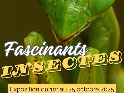Exposition "Fascinants Insectes"