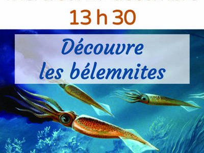 Atelier « A la recherche des bélemnites »