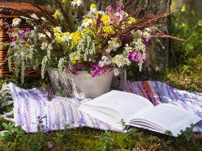 Aire de pique-nique du Jardin des Quatre Saisons