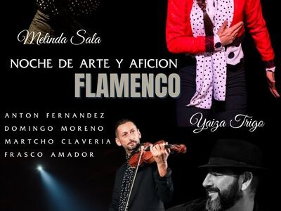 Noche Arte y Afición