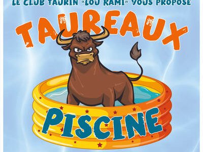 Taureaux Piscine