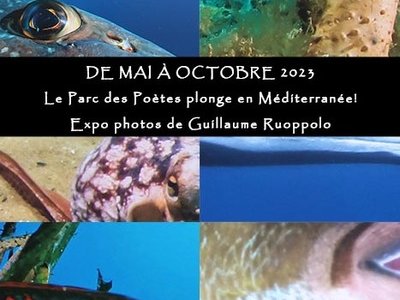 Exposition "Plongez en Méditerranée"