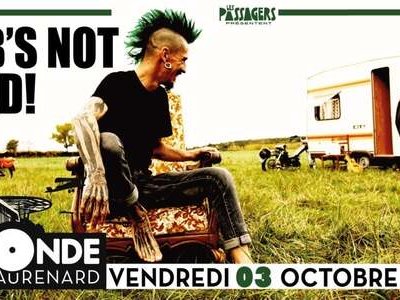 Bob's Not Dead
