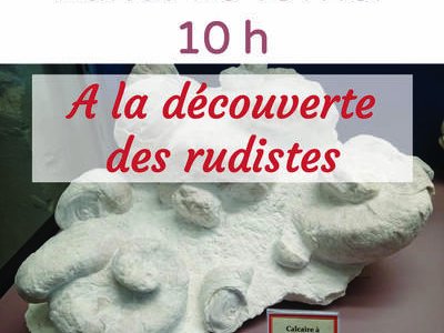 Atelier "A la découverte des rudistes"
