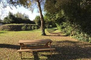 Des Roulottes en Provence