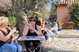 Les Micocouliers
