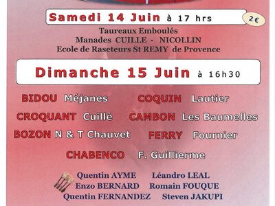 Course camarguaise