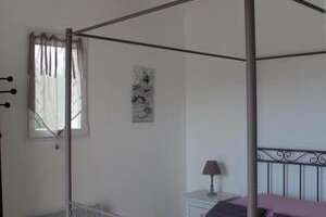 Le Songe des Lavandes