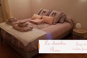 La Coccinelle d'Emilie