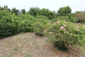 Jardin des Quatre Saisons