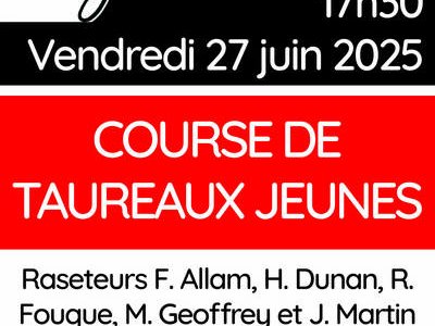 Course de taureaux