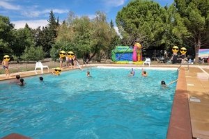 Les Micocouliers