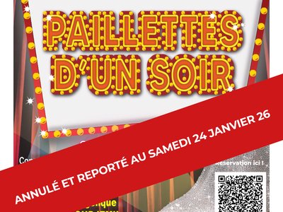 Paillettes d