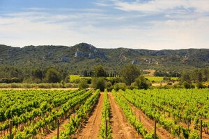 Domaine de Valdition