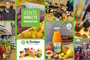 Pressoirs de Provence