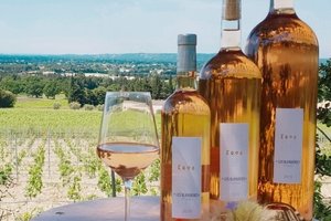 Domaine des Blaquières