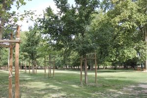 Parc du château
