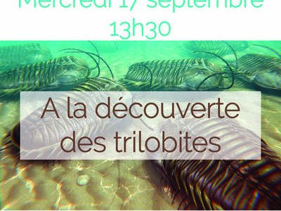Atelier "A la découverte des trilobites"