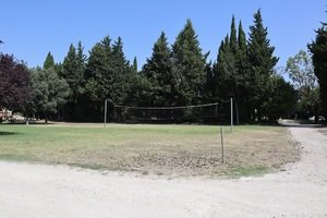 Les Micocouliers