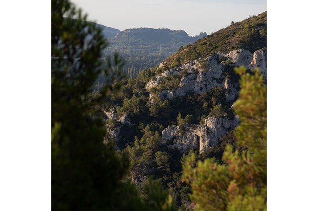 Falaises à Orgon