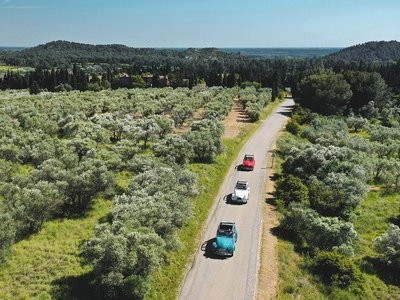 Yes Provence - The Vintage Roads