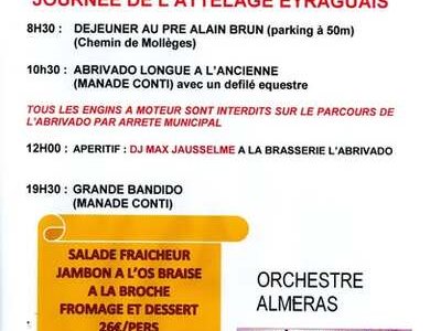 Journée de l'attelage Eyraguais