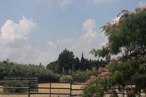 JC Ranch