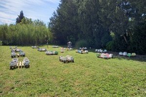 Les Ruchers du Renard