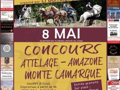 Concours Monte-Camargue