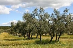 La Farigoule