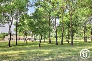 Domaine des Eucalyptus