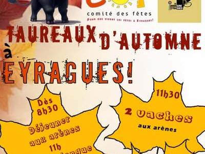 Taureaux d'automne