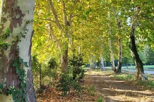 Parc des Sports et des Loisirs