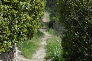 Le Parc des Tours