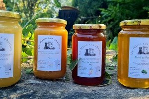 Un Mâtin aux abeilles