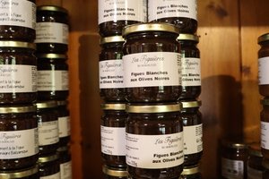 Les Figuières du Mas de Luquet