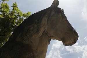 Le monument du Cheval