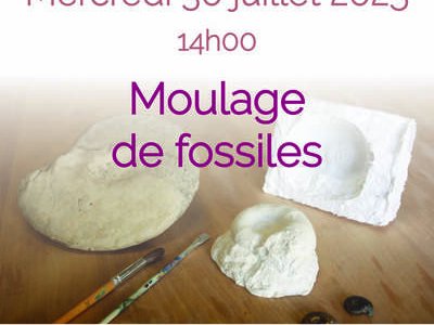 Moulage de fossiles