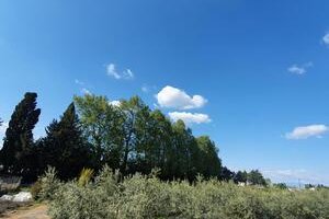 Chez Jeannot et Yollande