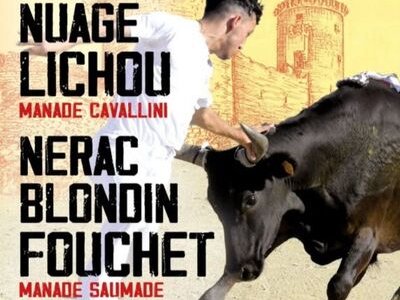 Concours de Manades - Trophée des As