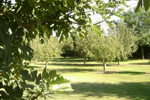 La Gourmandine