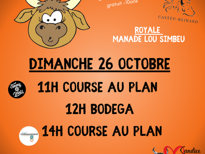 Course au plan