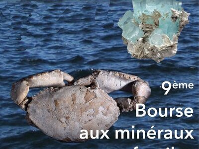 9ème Bourse aux minéraux et aux fossiles