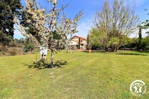 Mas de la Respélido