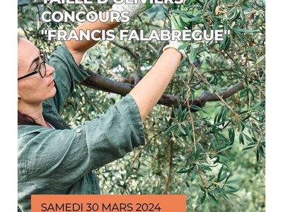 Concours "Francis Falabrègue" - Taille d'oliviers