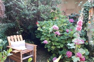 Sous la treille