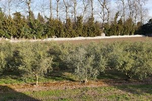 Chez Jeannot et Yollande