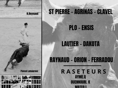 Course camarguaise
