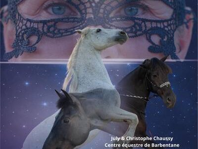 Spectacle équestre - La magie des chevaux