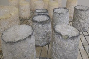 Le Mas des Chèvres